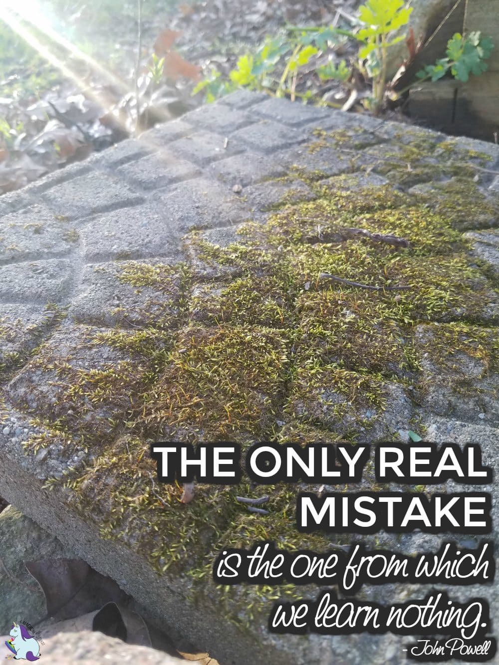 The only real mistake is the one from which we learn nothing