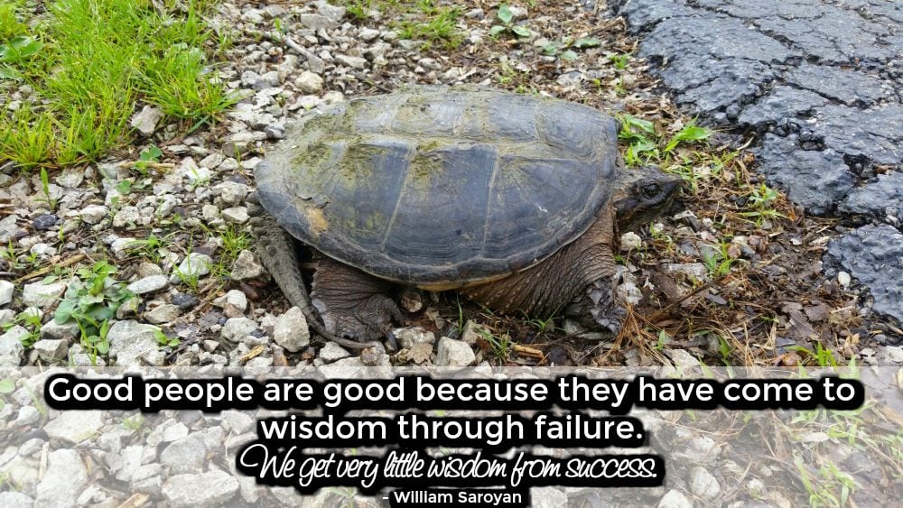 Learning through mistakes quotes