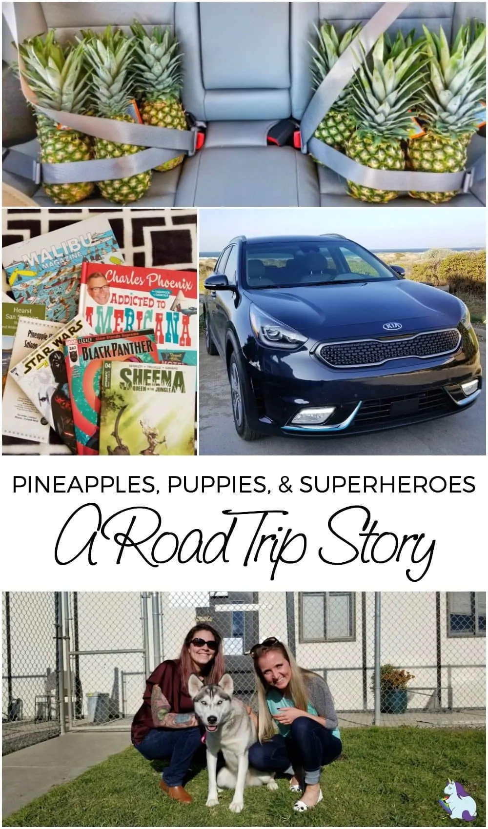 Collage of pictures from our Kia Niro PHEV Road Trip.