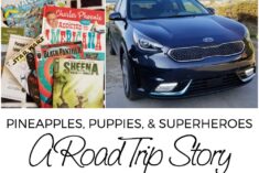 Kia Niro PHEV Road Trip - Full of Pineapples, Puppies, and Superheroes #NiroRoadTrip #KiaPartner