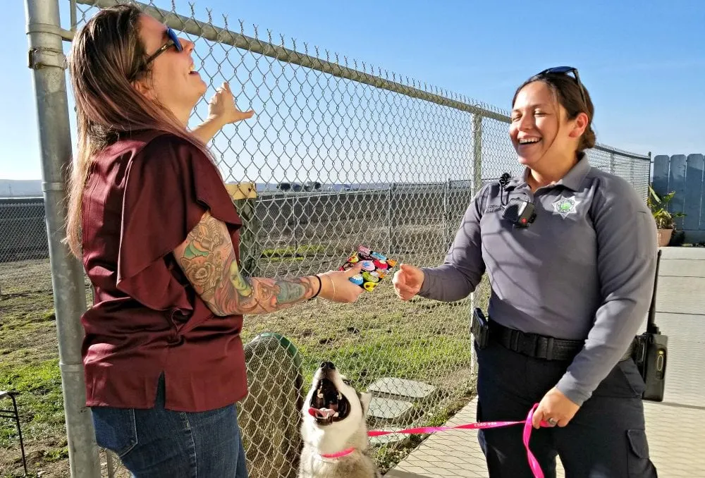 Handing a donation to an animal shelter.