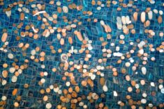 The Magical Memory of When I Fell in a Mall Fountain