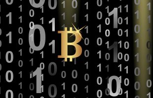 How to Buy Cryptocurrency and My Journey as a New Crypto Trader