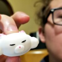Squishy Cat Stress Relievers