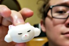 Squishy Cat Stress Relievers