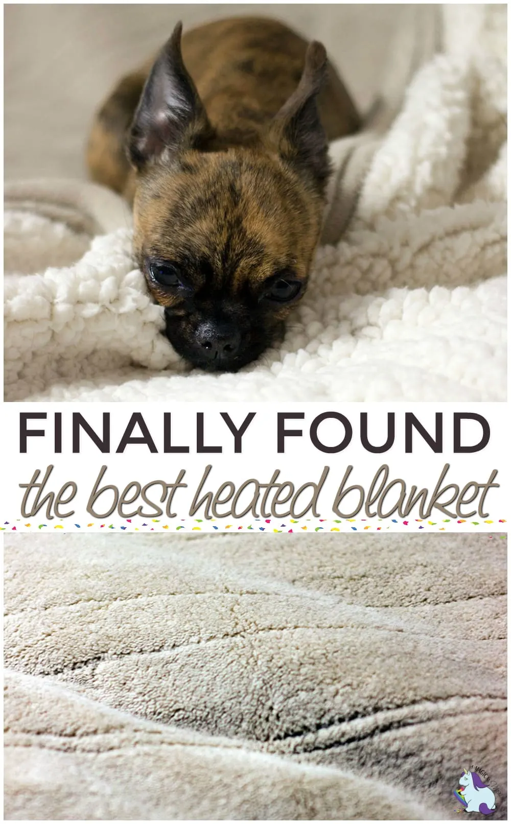 why do dogs like heated blankets