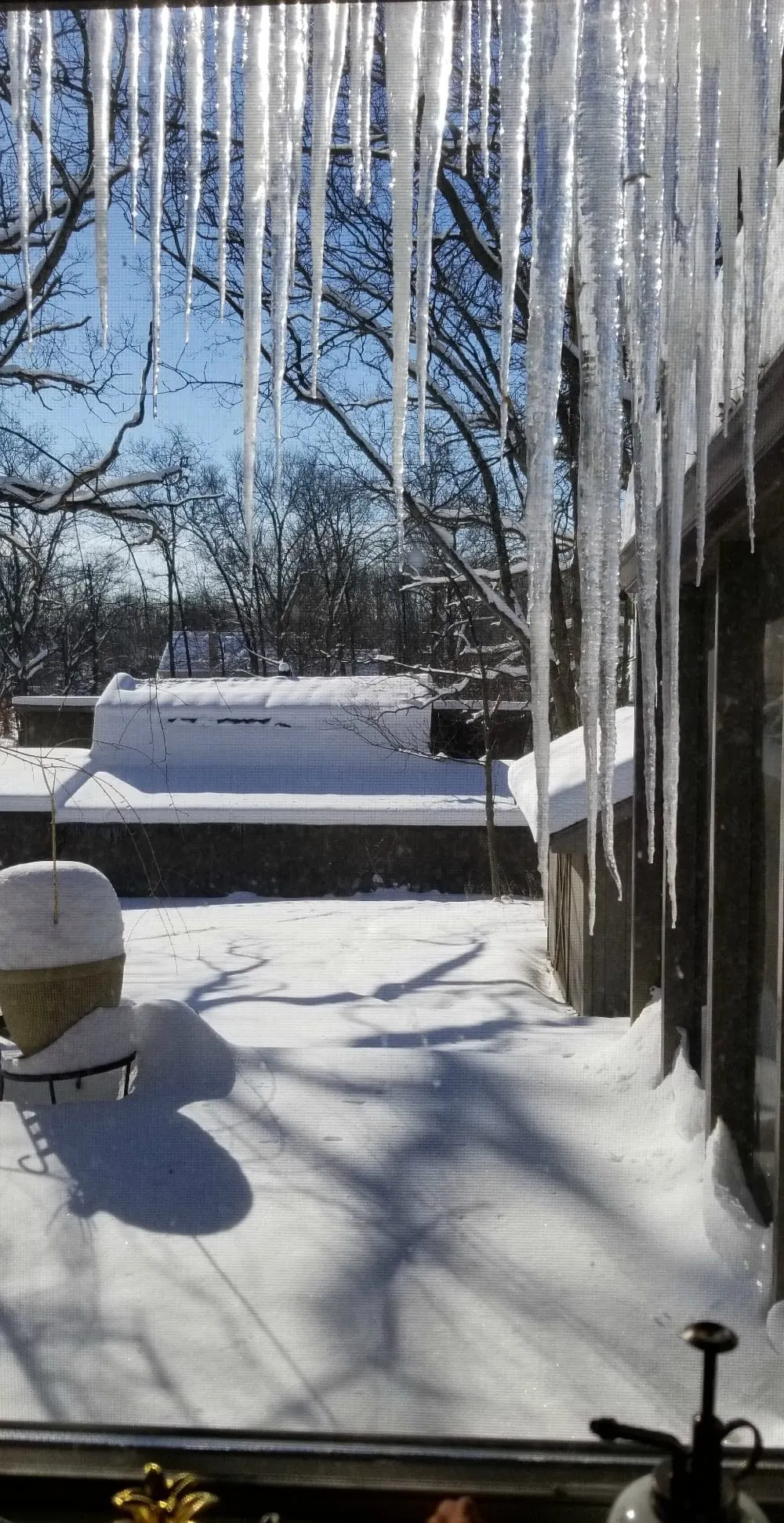 Icicles hanging from the roof