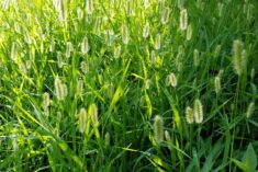 Small Things to do to Live a Greener Lifestyle
