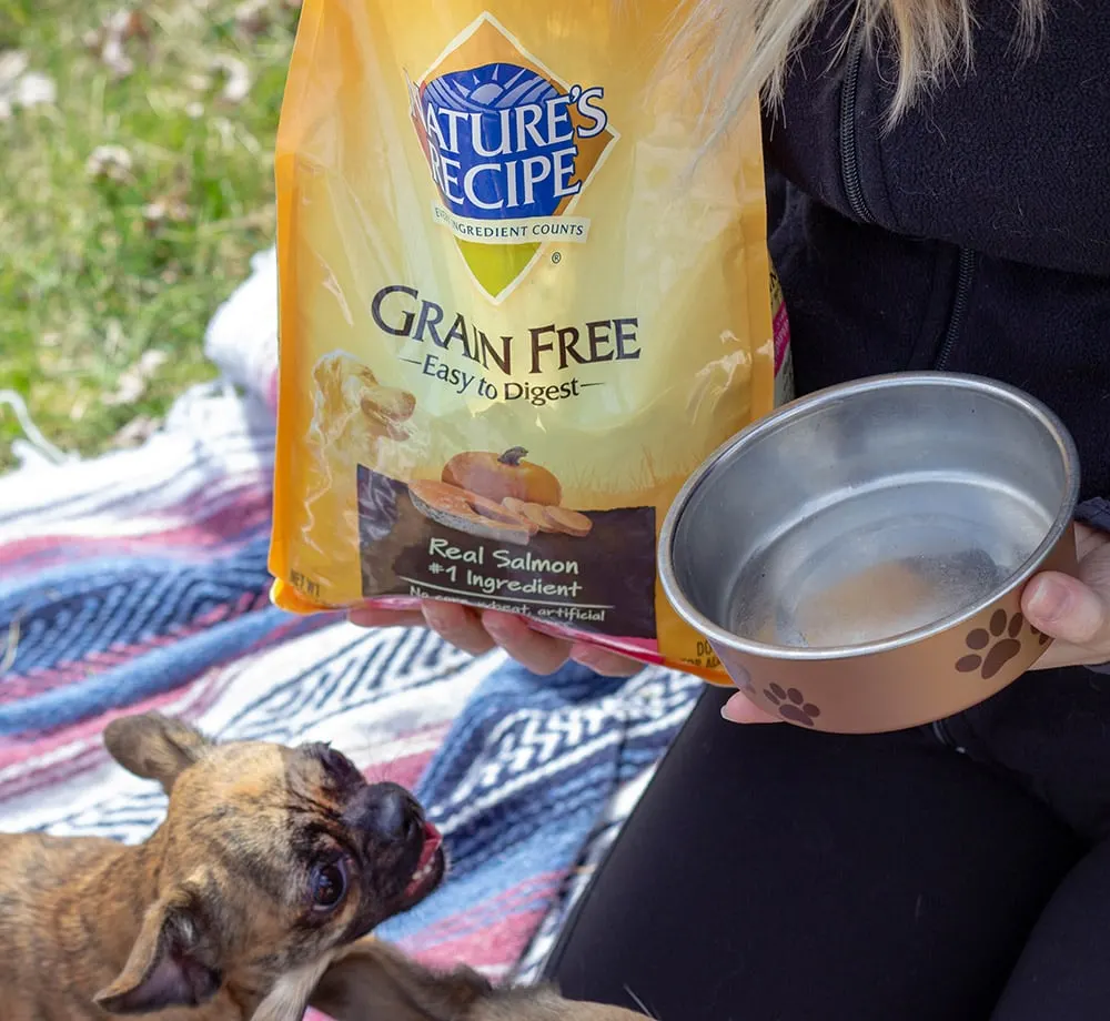 Pet picnic