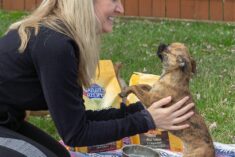 Talk to your pets. It doesn't matter what you say, they love the attention.