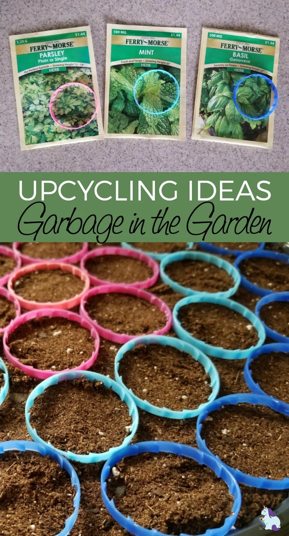 Three seed packets with milk jug rings on them and the rings in the garden in a collage. 