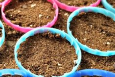Upcycling Ideas – Garbage in the Garden - milk jug rings as seed markers