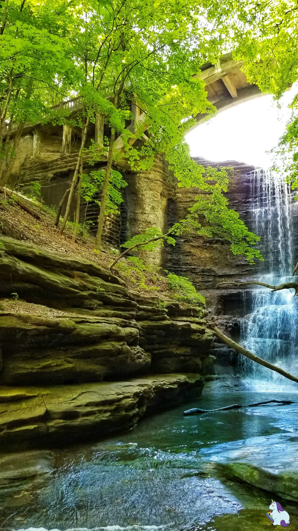 Matthiessen State Park waterfalls - Starved Rock area - A Kia Sorento Road Trip with Wrinkles, Change, Discovery, and Waterfalls #KiaFamily #KiaSorento #KiaPartner