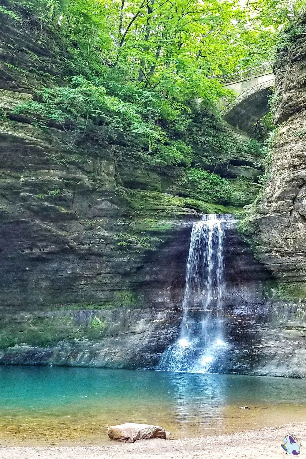 Waterfall with greenery on rocks. 