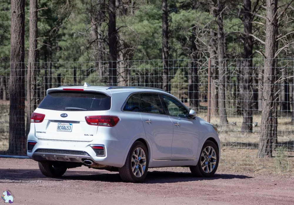 The 2019 Kia Sorento in Bearizona.