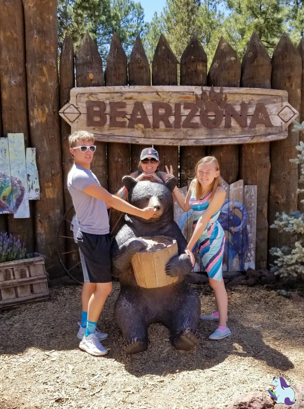 Bearizona is a drive thru zoo just half an hour from Little America Hotel in Flagstaff, AZ