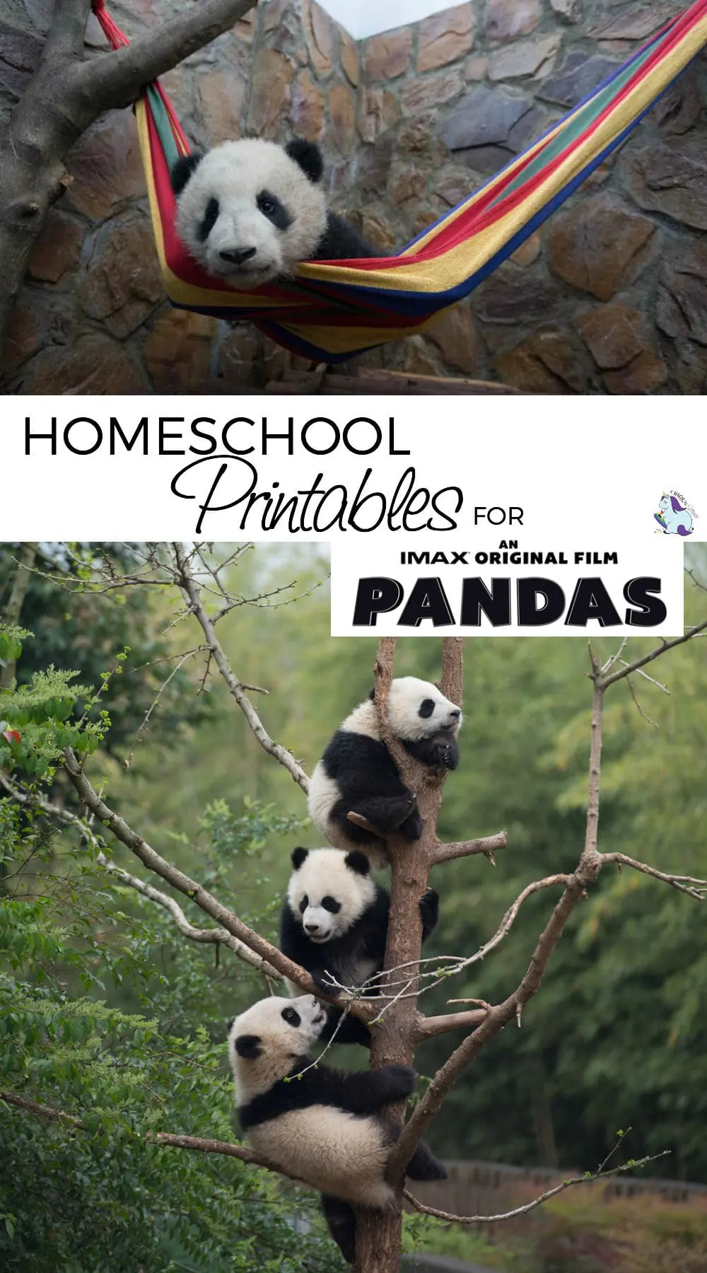 Giant pandas in a hammock and in a tree. Images from the PANDAS movie. 