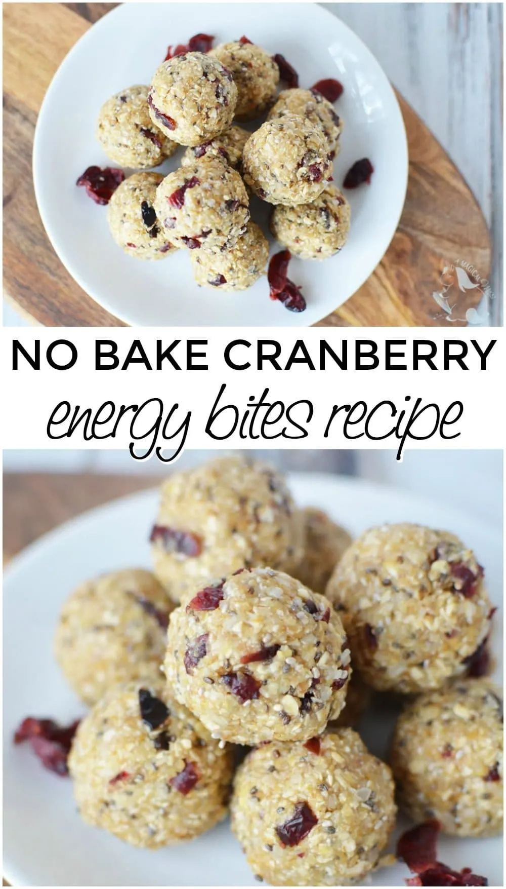 Cranberry No Bake Energy Bites Recipe