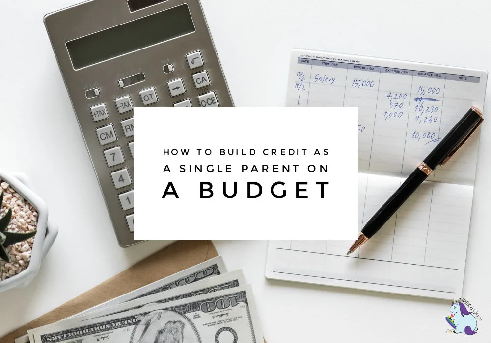 Single Mom on a Budget? Here is How to Build Credit! - A Magical Mess