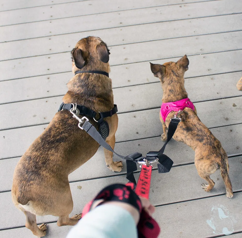 Double leash is a game changer for walking two dogs