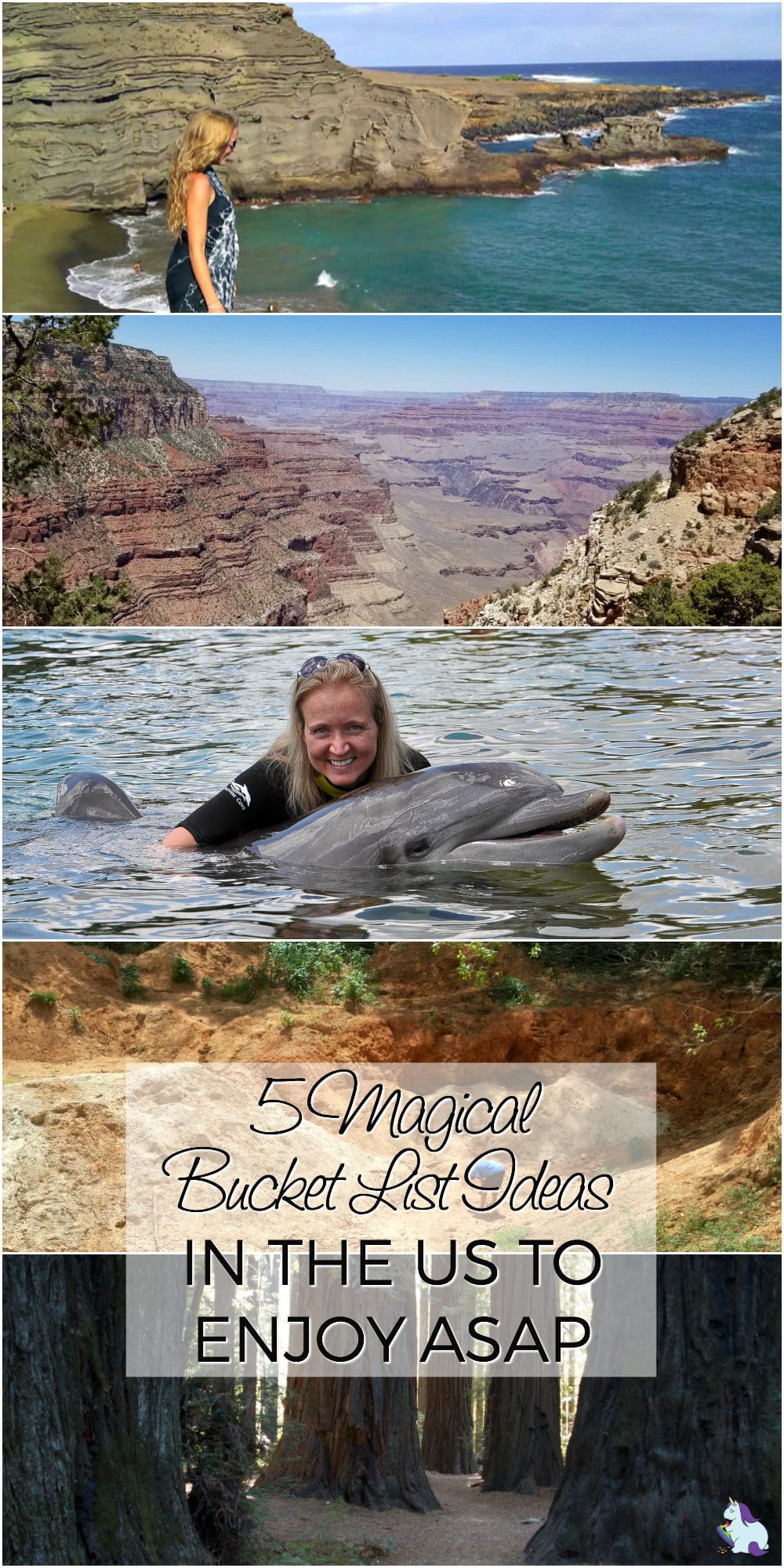 Collage of images from traveling including, mountains, green sand beach, swimming with dolphins, and trees. 