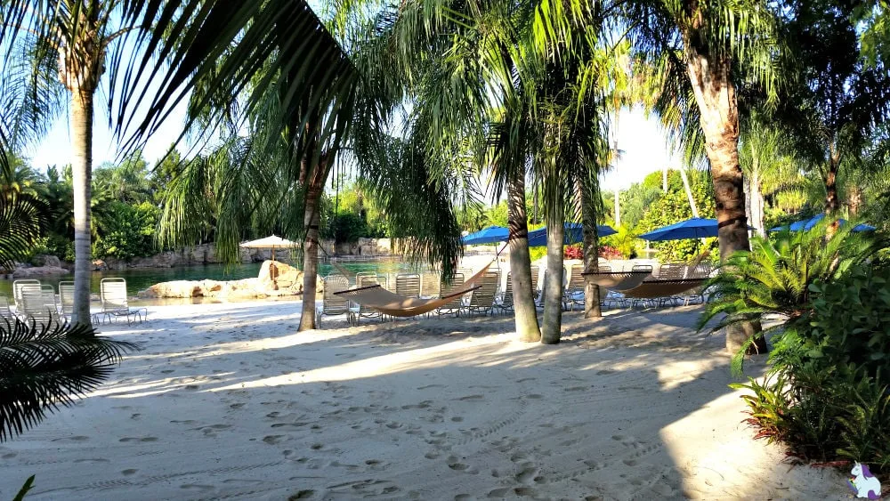 Hammock in between trees at Discovery Cove. 