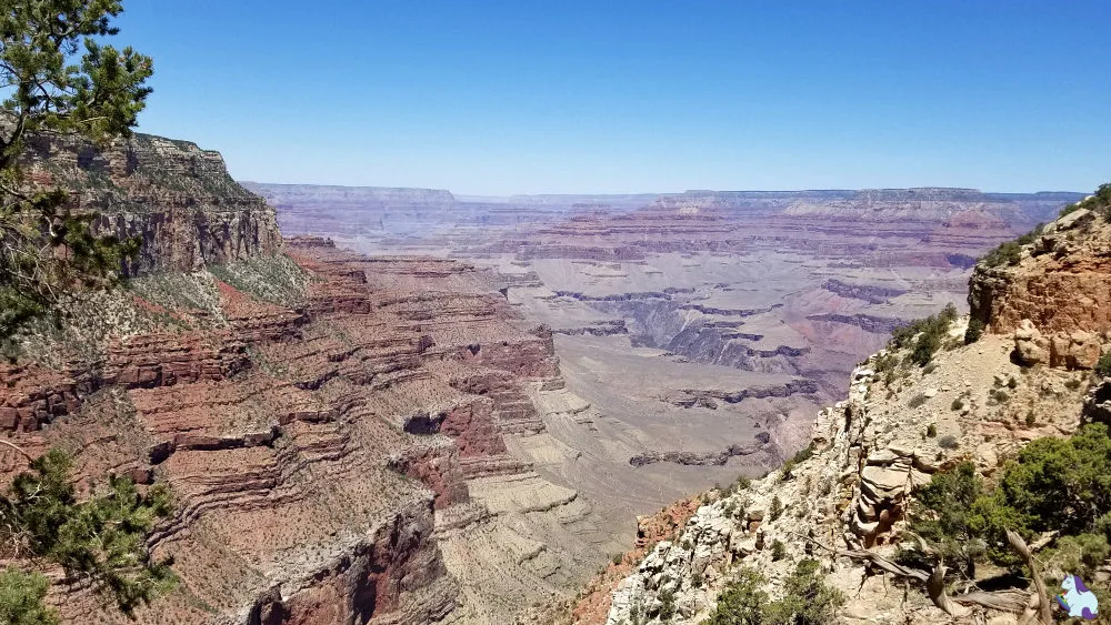 Grand Canyon South Rim.