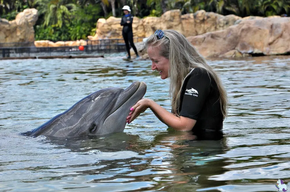 Shelley swimming with dolphins at Discovery Cove. 