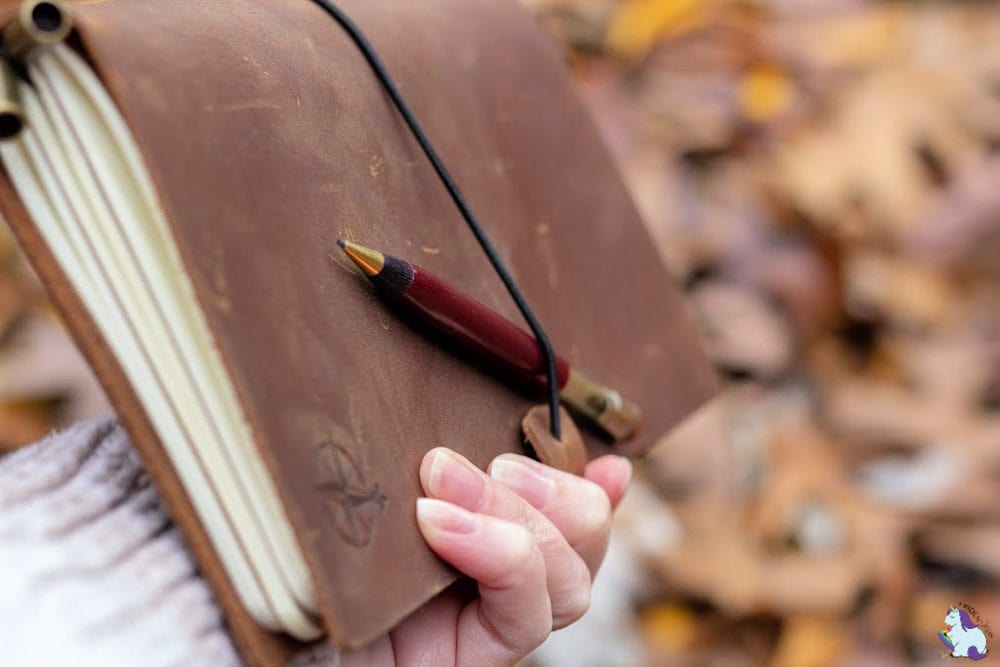 Holding a journal with a pen with leaves on the ground. 