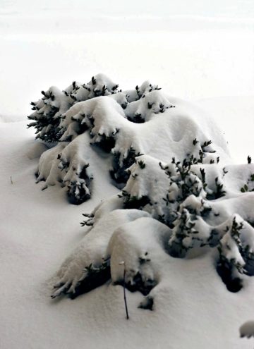 Snow isn't white; it's translucent?!