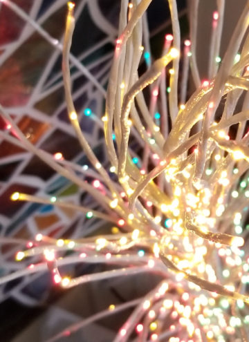 Pretty holiday lights