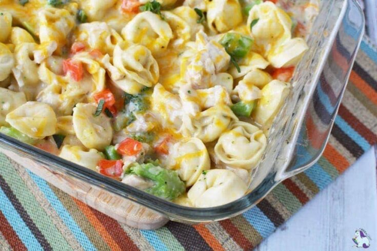 Chicken broccoli bake with tortellini in pan
