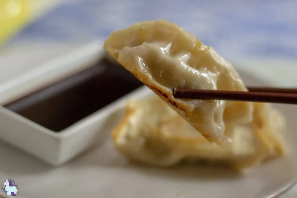 Chicken and vegetable potsticker held by chopsticks