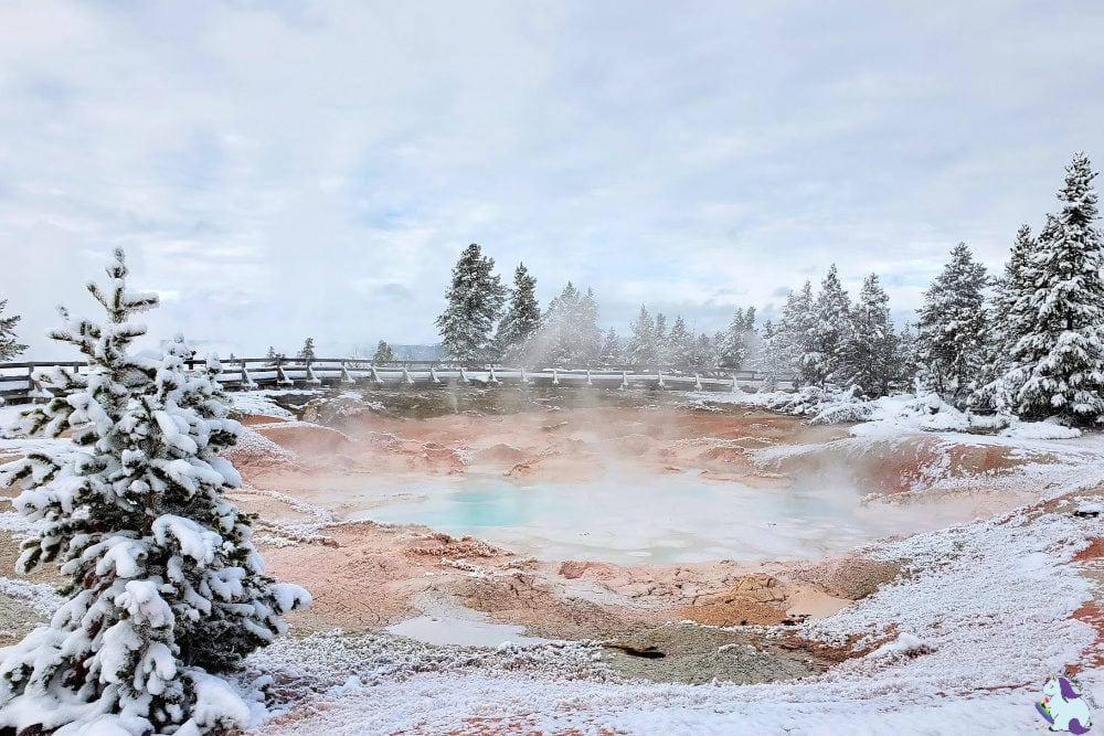 orange and blue hot spring in Yellowstone National Park