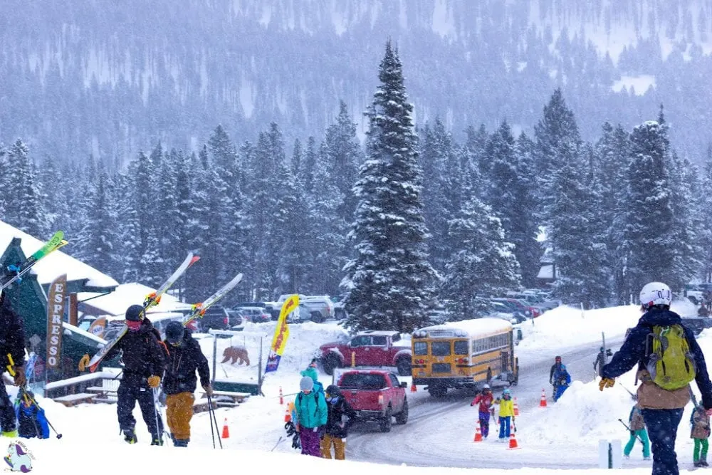 Bridger Bowl Ski Lodge image of snowy trees and skiers. 