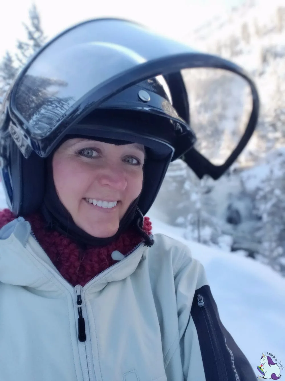 Snowmobiling through Yellowstone - Shelley VanWitzenburg in a helmet. 