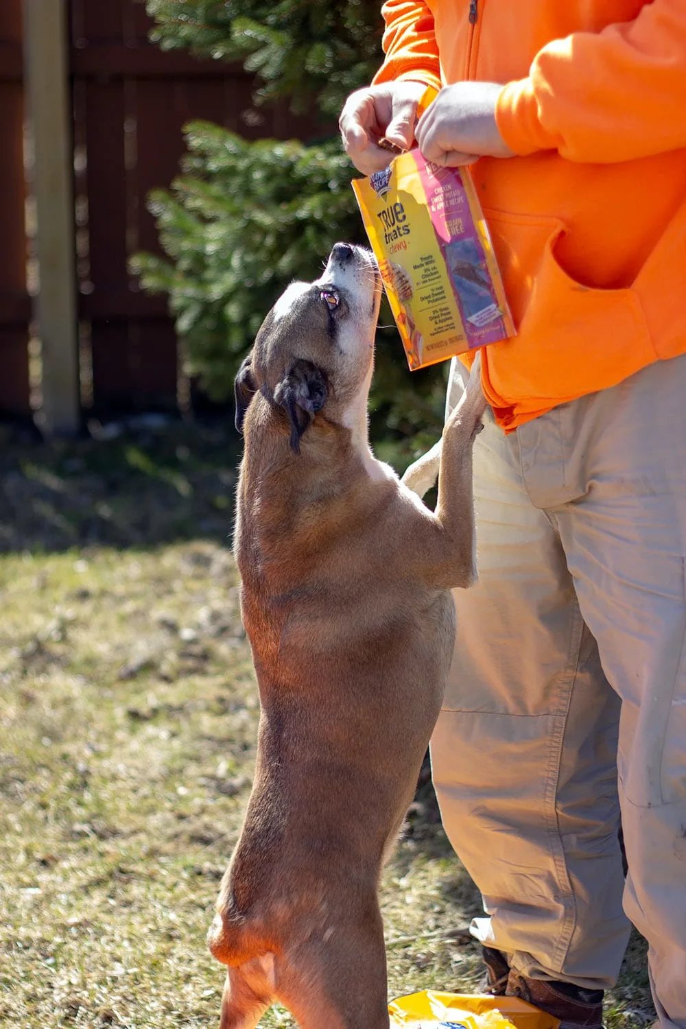 Franklin Soltys and Mike giving treats