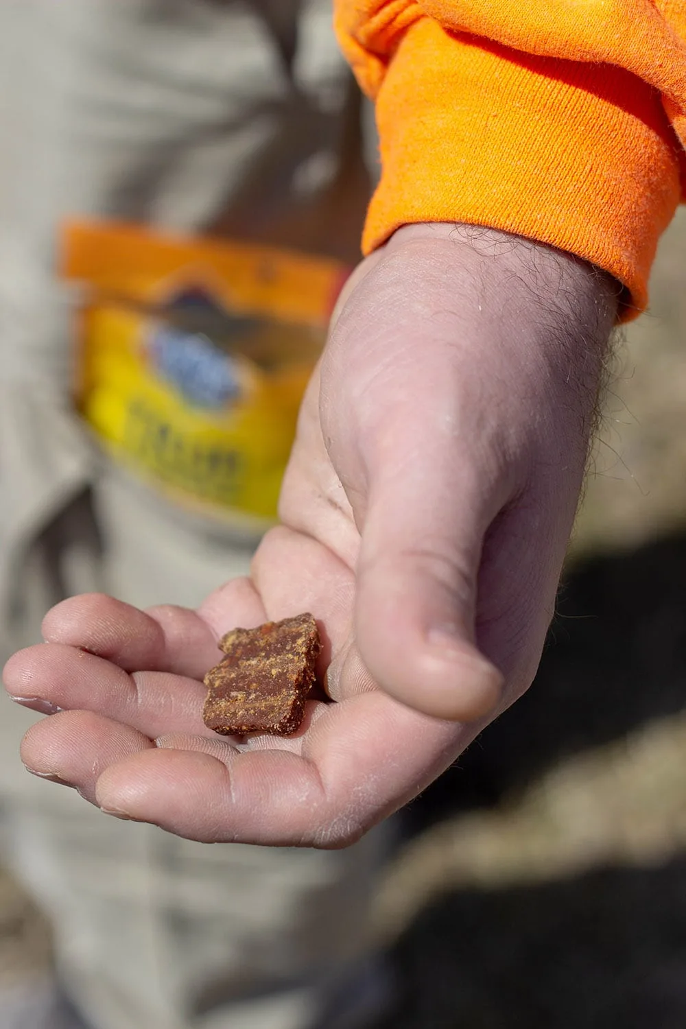 Nature's Recipe treats