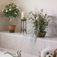 Gorgeous bath tub area