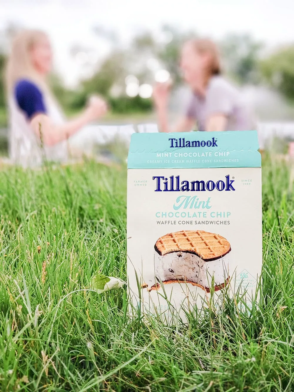 Box of Tillamook with people having a picnic in the background. 
