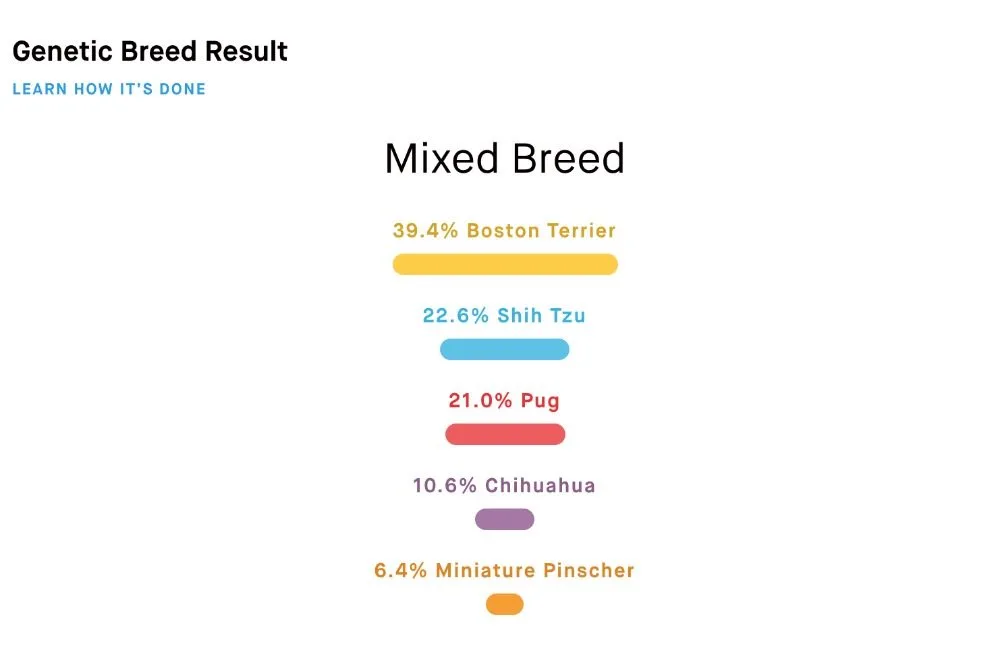 Screenshot of Embark Vet dog DNA test results.