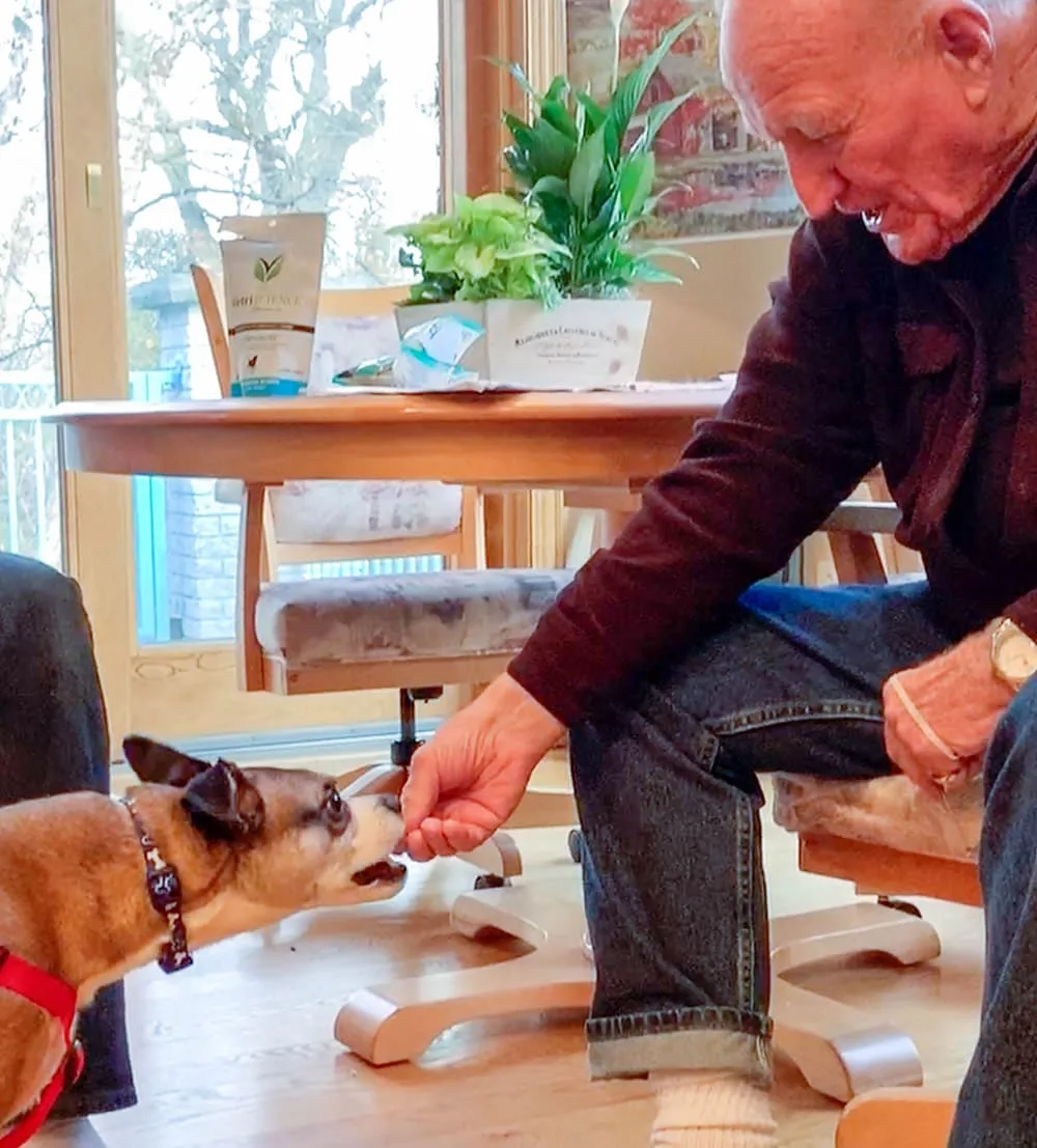 Franklin eating from Papa's hand.