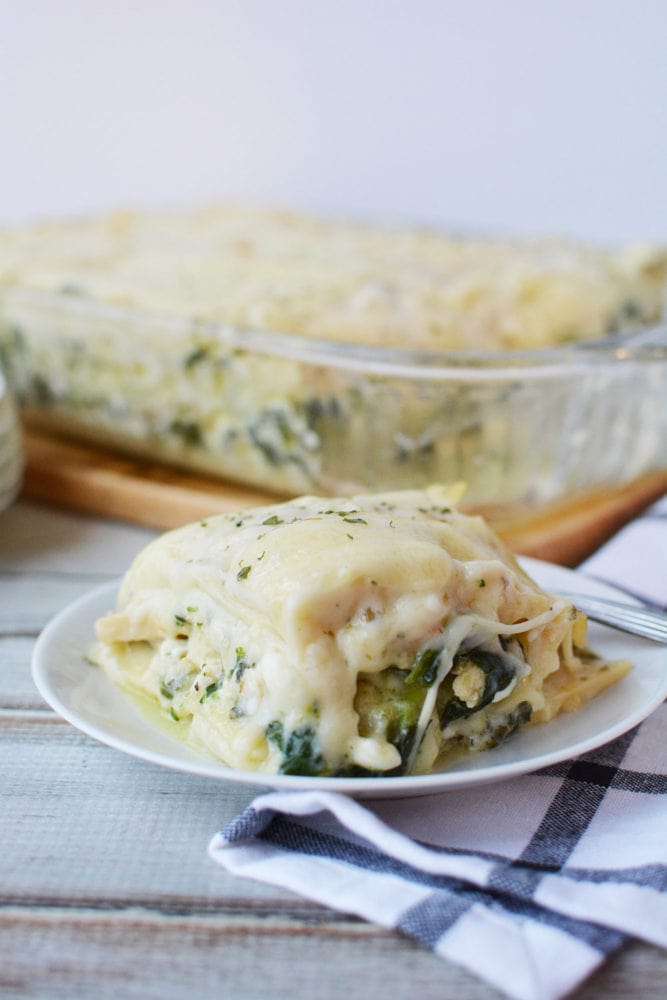 Creamy Chicken and Spinach Lasagna Recipe | A Magical Mess