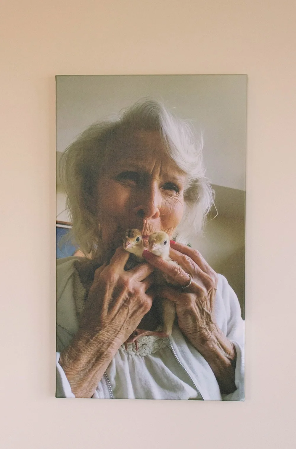 Gram and her baby turkeys on a canvas print.