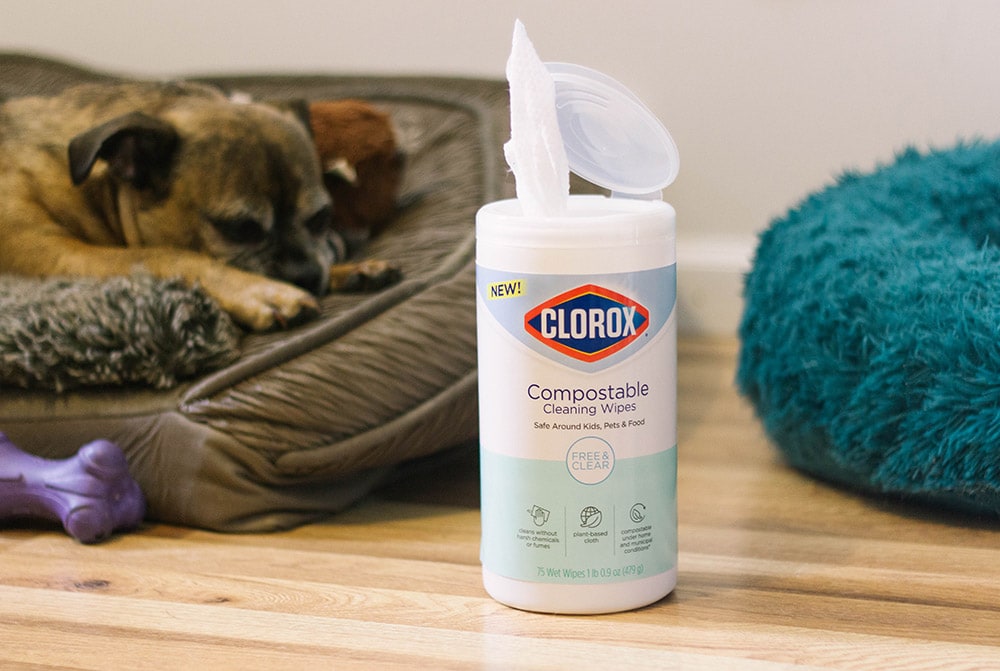 Clorox tub of wipes by pet beds.