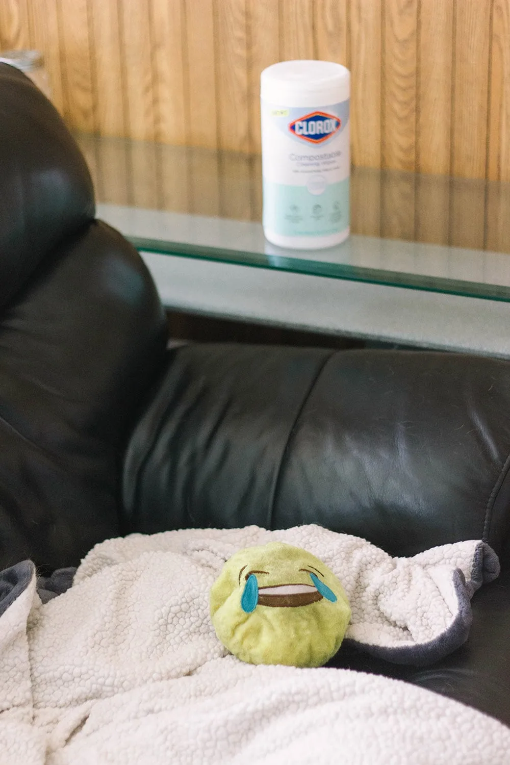 Emoji dog toy on couch.