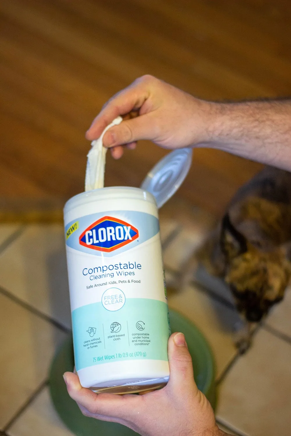 Pulling wipe out of Clorox tub.