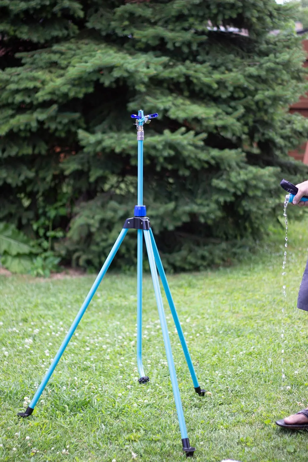 Tripod sprinkler in a yard in front of an evergreen tree. 