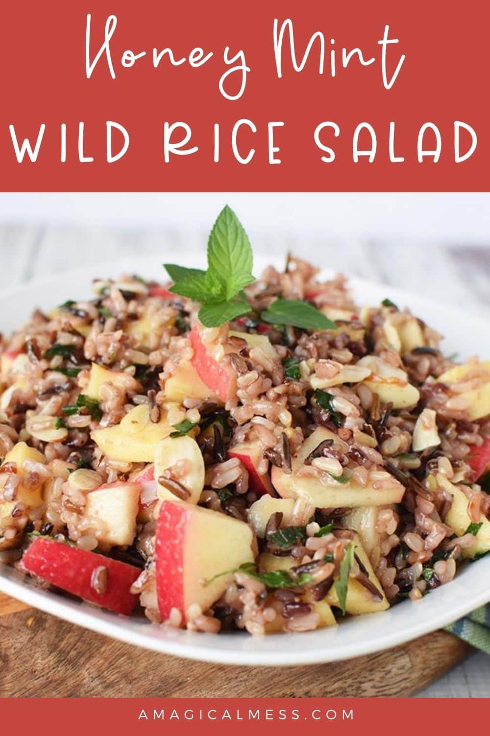 wild rice salad in bowl topped with mint