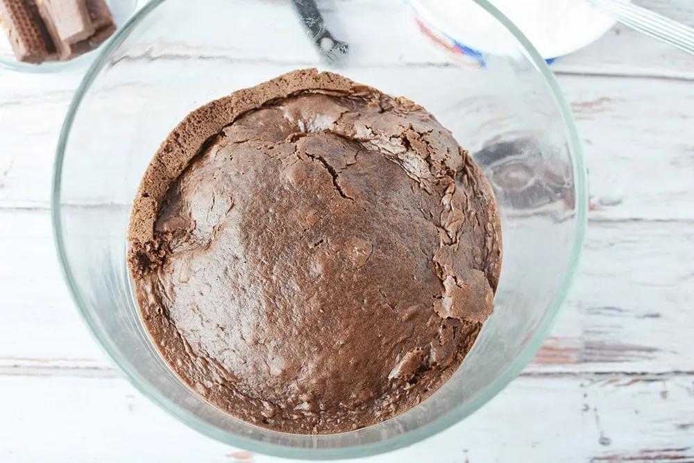 A chocolate cake round in the bottom of a trifle bowl. 